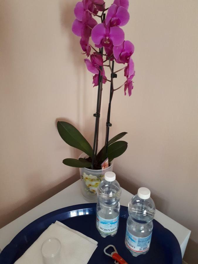 Casa Delle Orchidee Hotel Alba Kültér fotó